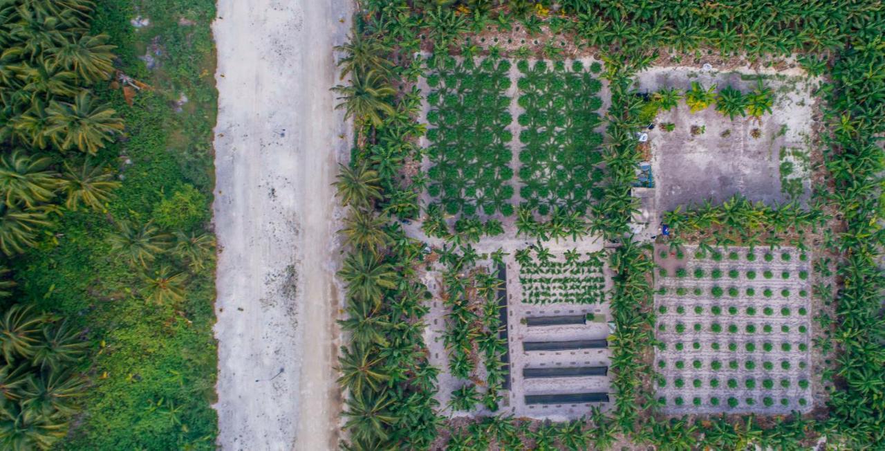 Sunview Residence Kaashidhoo Εξωτερικό φωτογραφία